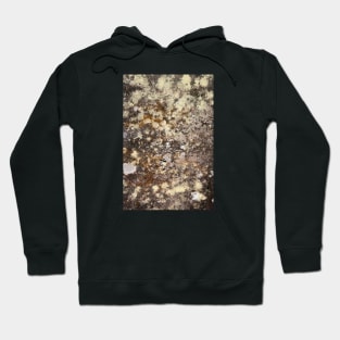 Fungus on rock Hoodie